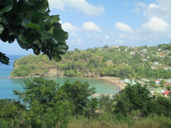 Melting Pot West Indian Studio